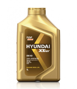 HYUNDAI_XTEER 1011113